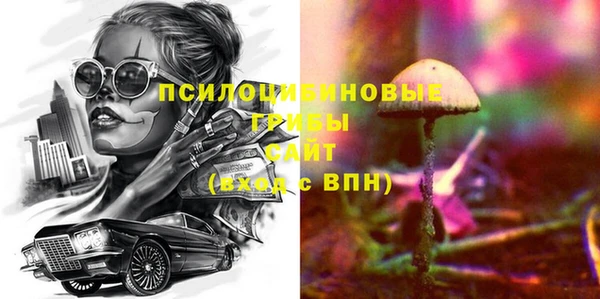 молекула духа Алексеевка