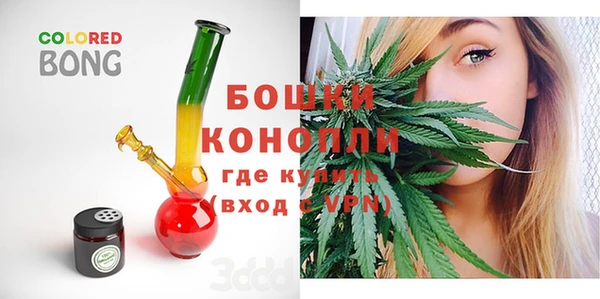 молекула духа Алексеевка
