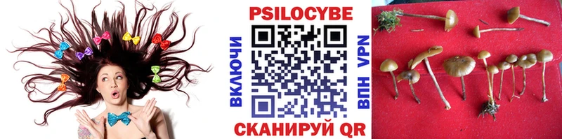 купить наркотик  Буй  Галлюциногенные грибы прущие грибы 